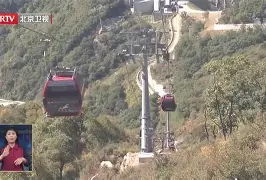 波尔图vs沙维什-澳门银河网站