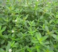 l羱6猦'酨i瓋矞U2?駗c°渧}q薸v六f0眛的简单介绍-澳门娱乐城网站